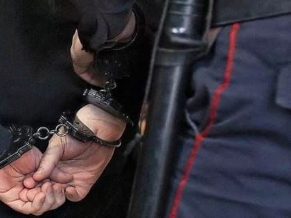Во Владимире пьяный пассажир напал на полицейского в вагоне поезда