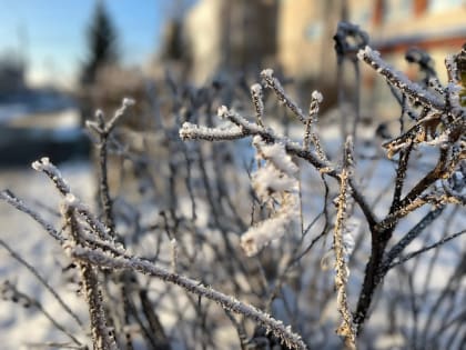 В регионе ожидается ледяной дождь и гололед
