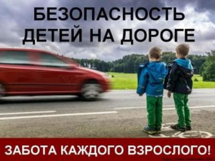 Урок безопасности от Общественного совета при МО МВД России «Гусь-Хрустальный» на тему: «Безопасность детей на дороге»