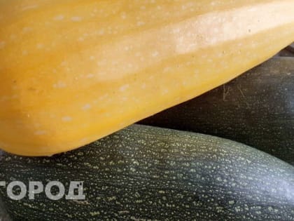 Кабачки вырастут как на дрожжах: в июне полейте их этими натуральными подкормками - урожай удивит