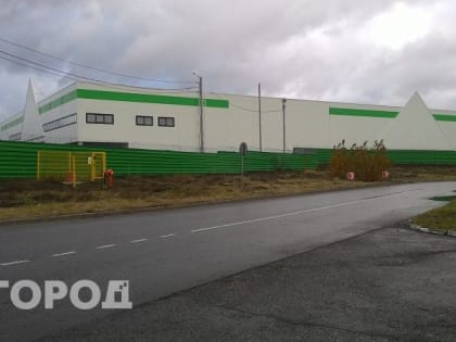 В Правительстве Владимирской области рассказали о перспективах открытия "Леруа Мерлен" во Владимире