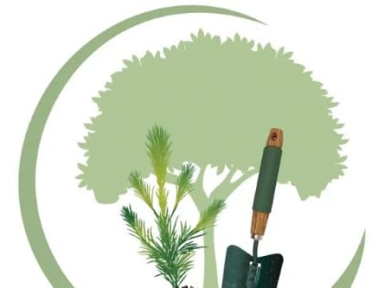 Компенсационная высадка деревьев в Киржаче