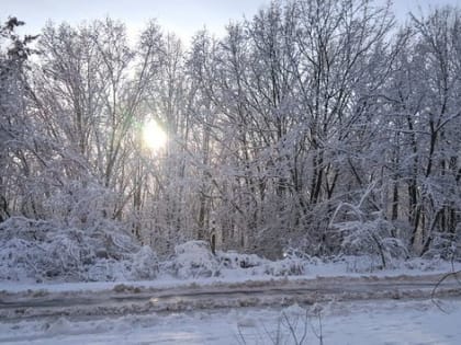 Во Владимирской области, по прогнозам синоптиков, ожидается повышение атмосферного давления