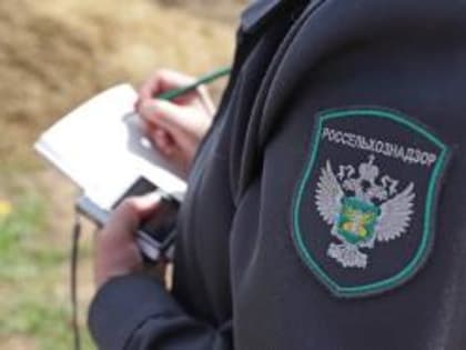 Во Владимирской области Управлением Россельхознадзора на территории Суздальского района проведено обследование земель сельскохозяйственного назначения
