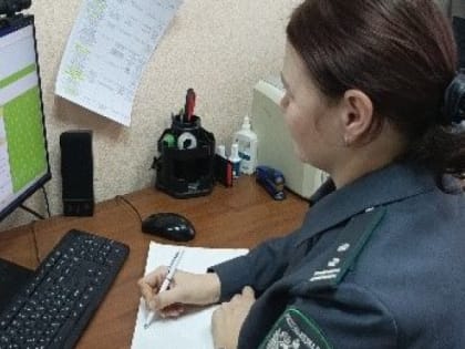 Во Владимирской области пресечена продажа «Солёных ушей» и «Длинной тупой без сердцевины»