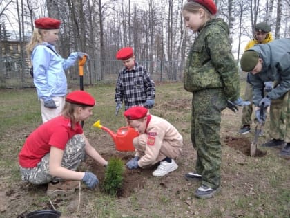 В Киржачском районе стартовала акция "Сад памяти"
