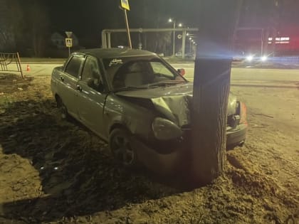 Пьяный водитель въехал в дерево