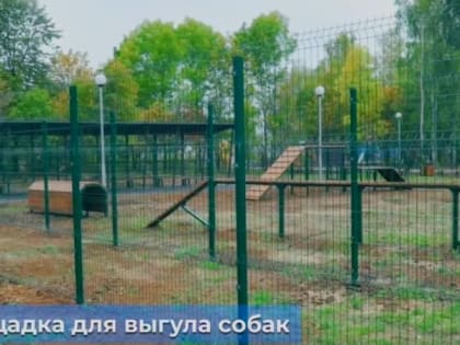 Город Владимир вошел в программу благоустройства «Пять шагов для городов»