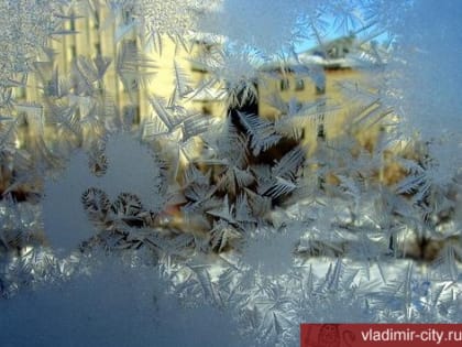 Во Владимире детские сады и школы продолжат работу по обычному графику