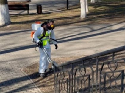 Во Владимире стартовали работы по обработке и подкормке уличной зелени
