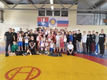 Первенство города по греко-римской борьбе