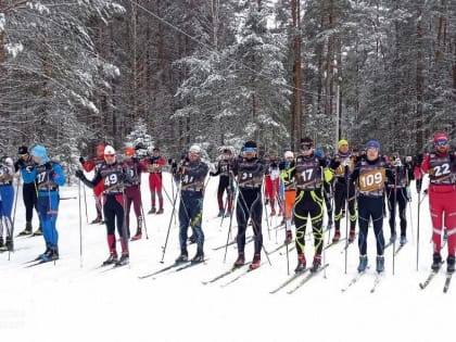 В первые дни нового года в массовых спортивных мероприятий приняли участие 10 тысяч жителей Владимирской области 