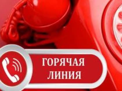 На территории Ивановской области проведена горячая линия по ответственному обращению с животными