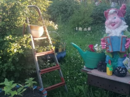 Секреты создания ленивого сада