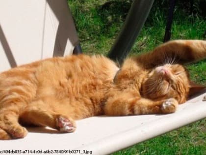 Капризы погоды – во Владимирскую область придет жара