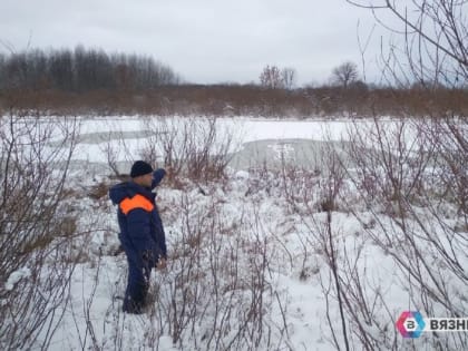 В Вязниках спасли женщину, провалившуюся под лёд