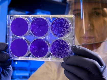 Во Владимире врачи спасли заразившуюся бактериальным менингитом в Египте девочку