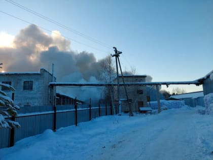 Владимирский Роспотребнадзор: Воздух в поселке Муромцево в полном порядке