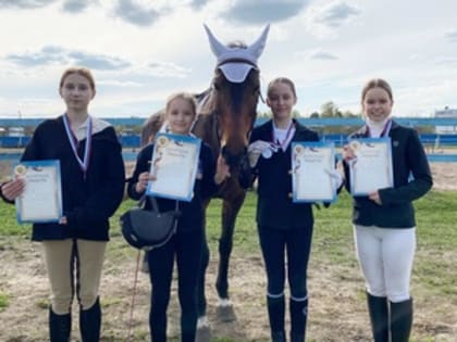 Конный спорт