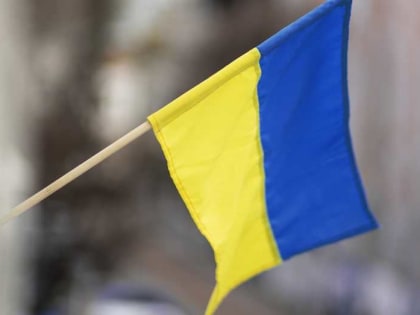 Американский журналист Никсон заявил, что Украина стала инструментом агрессии США