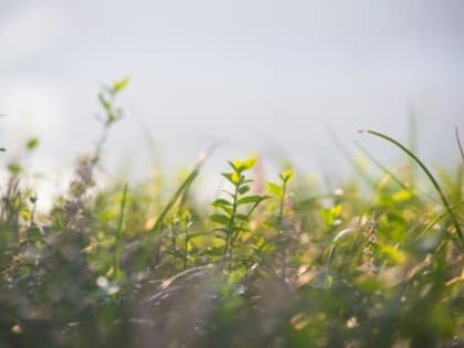 Владимирские синоптики рассказали о предстоящей погоде