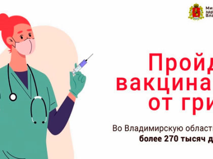 Во Владимирскую область поступило более 270 тысяч доз вакцины от гриппа
