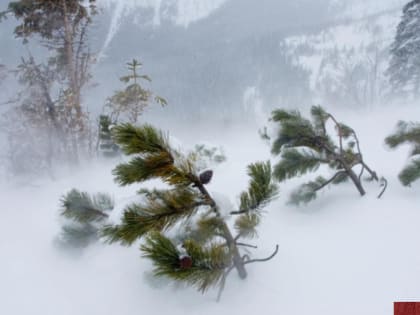 О неблагоприятных погодных явлениях