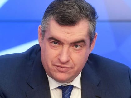 Председатель ЛДПР Слуцкий назвал встречу с экс-главой МИД Австрии дружеской