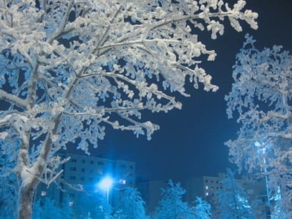 Во Владимирской области в ночь на 11 февраля ожидаются аномальные заморозки