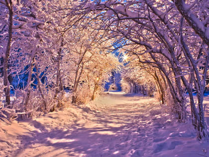 Во Владимирской области прокуратура добивается устройства тротуара рядом с детским садом