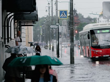 В стратегии развития общественного транспорта города Владимира нашли огрехи