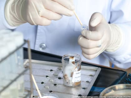 Какой анализ в рамках диспансеризации поможет вовремя обнаружить онкологию кишечника?