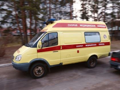 20 случаев заболевания коронавирусом выявлено во Владимирской области 20 мая