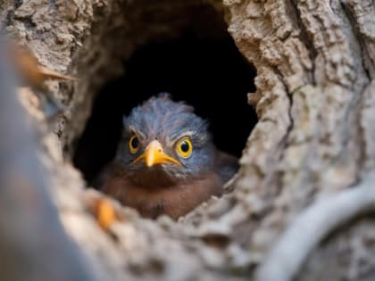 Во Владимирской области по прогнозам синоптиков произойдет резкая смена температуры воздуха