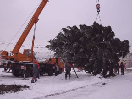 В Муроме установили главную новогоднюю ёлку