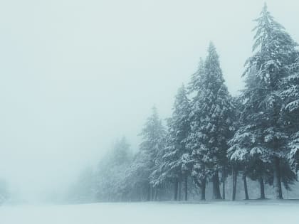 Во Владимирской области ожидается усиление ночных температур, возможен туман