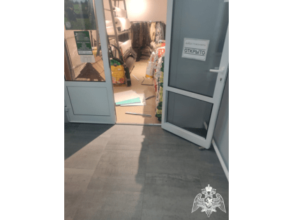 В Муроме росгвардейцы задержали мужчину, совершившего кражу в ТЦ