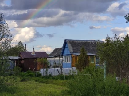 Тайны местных жителей: что нам известно о жизни в нашем городе