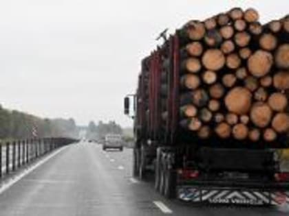 С помощью ФГИС «Аргус-Фито» во Владимирской области установлено 15 случаев неизвещения о ввозе продукции из карантинных фитосанитарных зон