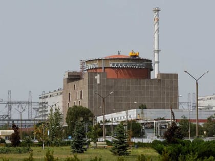 Военкор Котенок заявил, что Украина готовит теракт на Запорожской АЭС