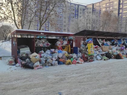 Губернатор Авдеев готов заменить регоператора по обращению с отходами