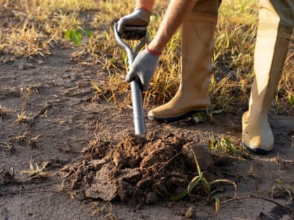 Новые инициативы по улучшению городской инфраструктуры