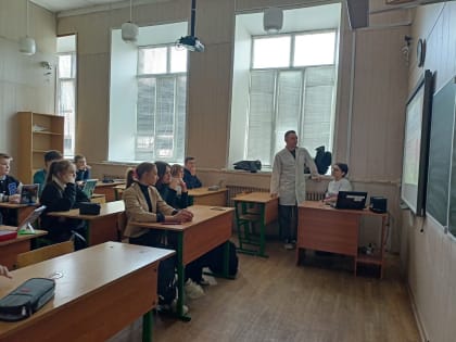 Информационное волонтерство в школах   