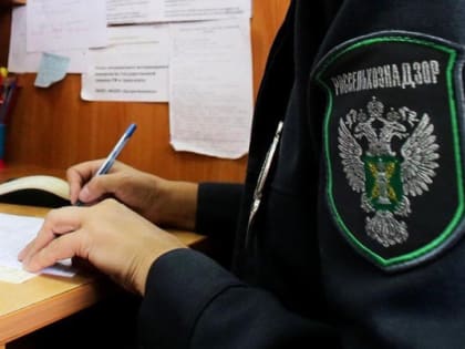 Фирму из Ковровского района оштрафовали за неуплату штрафа