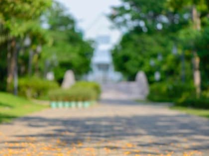 Как не сидеть дома в выходные: программы парков Владимира