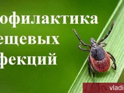 Как защититься от клещей