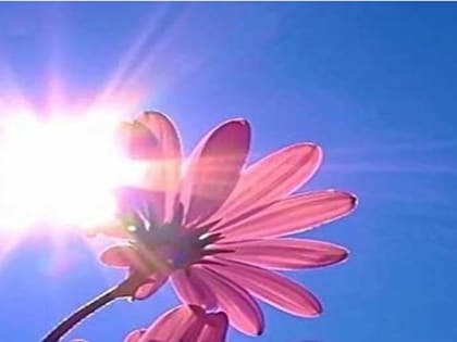 О рекомендациях для работающих в условиях повышенных температур воздуха и избыточного действия солнечных лучей