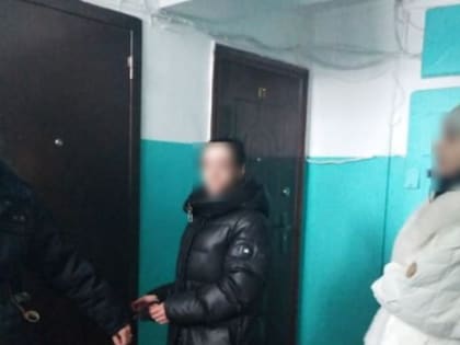 Воровка ворвалась в квартиру на ул.Ленинградской