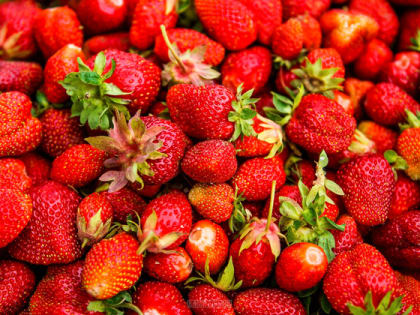 Владимирцам рассказали, как вывести с клубничной грядки вредителей и болезни