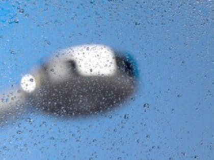 Владимирская прокуратура добилась решения гигиенического вопроса в женской колонии